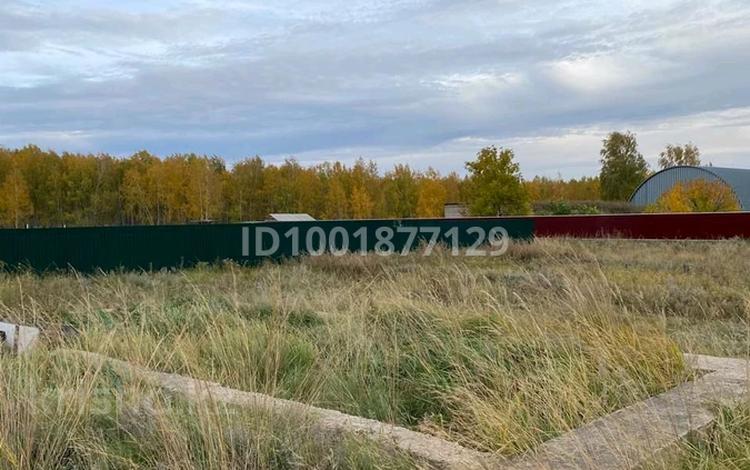 Участок · 10 соток, Курмангазы 39 за 2.8 млн ₸ в Бишкуле — фото 2