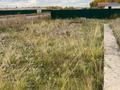 Участок · 10 соток, Курмангазы 39 за 2.8 млн ₸ в Бишкуле — фото 4