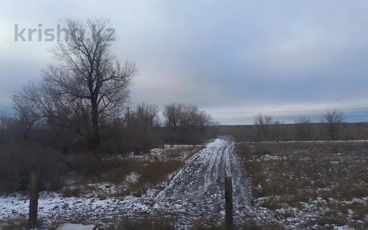 Участок · 20 га, Район Новоальджанского элеватора, разъезд 41, вдоль трассы Актобе-Алга за ~ 182.8 млн 〒 — фото 2
