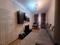 1-комнатная квартира · 32.4 м² · 1/6 этаж, мкр Коккайнар, Момышулы Монке би — Момышулы Монке Би за 19.8 млн 〒 в Алматы, Алатауский р-н