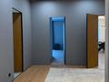 4-бөлмелі пәтер · 220 м² · 2/3 қабат, Кербулакская 2/3, бағасы: 210 млн ₸ в Алматы, Медеуский р-н — фото 42