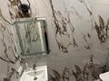 2-бөлмелі пәтер · 75 м² · 12/20 қабат, Сейфуллина 574/1 к3 — Аль-Фараби Сейфуллина, бағасы: 35 000 ₸ в Алматы, Бостандыкский р-н — фото 14