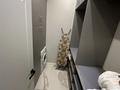 2-бөлмелі пәтер · 75 м² · 12/20 қабат, Сейфуллина 574/1 к3 — Аль-Фараби Сейфуллина, бағасы: 35 000 ₸ в Алматы, Бостандыкский р-н — фото 15