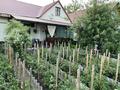 Отдельный дом · 4 комнаты · 116 м² · 5 сот., Стаханова 19 — Стаханова ,Краснознаменная за 48 млн ₸ в Усть-Каменогорске — фото 17