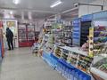 Свободное назначение · 280 м² за 90 млн ₸ в Актобе — фото 6