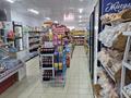 Свободное назначение · 280 м² за 90 млн ₸ в Актобе — фото 8