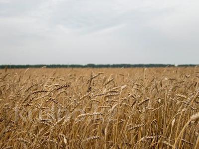 Участок · 800 га, Абдирова 2 — От Астаны 30-40 минут езды за 250 млн ₸ в Ахмете