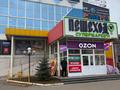 Свободное назначение, магазины и бутики, фитнес и спорт · 230 м² за 575 000 ₸ в Уральске, мкр Омега — фото 8