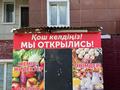 Дүкендер мен бутиктер · 30 м², бағасы: 150 000 ₸ в Астане, Алматы р-н — фото 5
