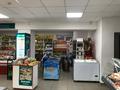 Офисы, магазины и бутики, склады · 481 м² за 150 млн ₸ в Аксу — фото 12