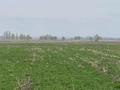 Участок · 5.8 га, Село Акши — Автобан за 15 млн ₸ в Байдибек би — фото 4