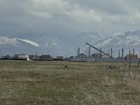 Участок · 75 соток, Астана за 48 млн 〒 в Талгаре