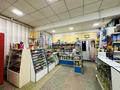 Магазины и бутики • 133 м² за 35 млн 〒 в Шахтинске — фото 3