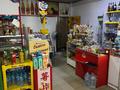 Магазины и бутики · 90 м² за 55 млн ₸ в Туздыбастау (Калинино) — фото 6