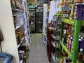 Магазины и бутики · 90 м² за 55 млн ₸ в Туздыбастау (Калинино) — фото 8