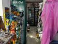 Магазины и бутики · 90 м² за 55 млн ₸ в Туздыбастау (Калинино) — фото 9
