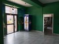 Свободное назначение, офисы, магазины и бутики, склады, азс, автосервисы и автомойки, общепит, салоны красоты, сельское хозяйство, бани, гостиницы и зоны отдыха, медцентры и аптеки, образование, развлечения · 480 м² за 100 млн ₸ в Есик — фото 7