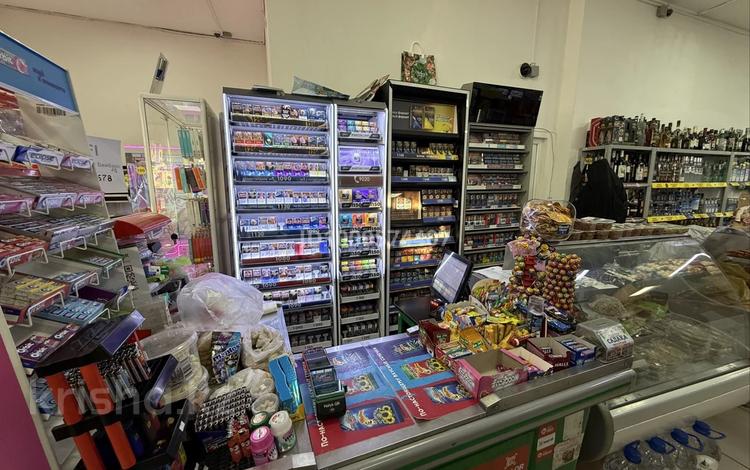 Готовый бизнес продуктовый магазин · 160 м², бағасы: 46 млн 〒 в Астане, Сарайшык р-н — фото 2