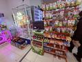 Готовый бизнес продуктовый магазин · 160 м², бағасы: 46 млн 〒 в Астане, Сарайшык р-н — фото 11