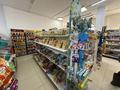 Готовый бизнес продуктовый магазин · 160 м², бағасы: 46 млн 〒 в Астане, Сарайшык р-н — фото 16