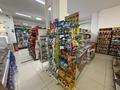 Готовый бизнес продуктовый магазин · 160 м², бағасы: 46 млн 〒 в Астане, Сарайшык р-н — фото 17