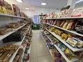 Готовый бизнес продуктовый магазин · 160 м², бағасы: 46 млн 〒 в Астане, Сарайшык р-н — фото 2