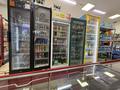 Готовый бизнес продуктовый магазин · 160 м², бағасы: 46 млн 〒 в Астане, Сарайшык р-н — фото 26