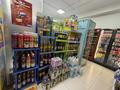 Готовый бизнес продуктовый магазин · 160 м², бағасы: 46 млн 〒 в Астане, Сарайшык р-н — фото 27