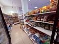 Готовый бизнес продуктовый магазин · 160 м², бағасы: 46 млн 〒 в Астане, Сарайшык р-н — фото 8