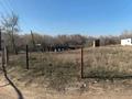 Жер телімі · 8 сотық, Байтерек (Новоалексеевка), бағасы: 12 млн ₸ — фото 6