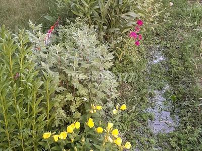 Отдельный дом · 2 комнаты · 30 м² · 6 сот., Зернабулак 90 за 3 млн 〒 в Таразе