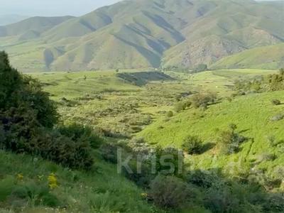 Жер телімі · 16 га, Түлкібас, бағасы: 300 млн ₸ в Тюлькубасе