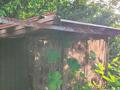 Дача · 3 комнаты · 70 м² · 8 сот., жилой массив Кайнар Булак, Сантехническая 33 за 10 млн ₸ в Шымкенте, Абайский р-н — фото 6
