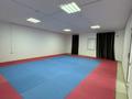 Свободное назначение, фитнес и спорт · 240 м² за 150 000 〒 в Актау, 34-й мкр — фото 6