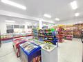 Магазины и бутики • 160 м² за 75 млн 〒 в Талгаре — фото 10