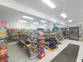 Магазины и бутики • 160 м² за 75 млн 〒 в Талгаре — фото 12