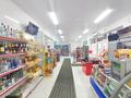 Магазины и бутики • 160 м² за 75 млн 〒 в Талгаре — фото 13