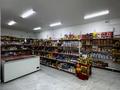 Магазины и бутики · 160 м² за 85 млн 〒 в Талгаре — фото 13