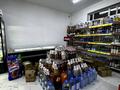 Магазины и бутики · 160 м² за 85 млн 〒 в Талгаре — фото 15