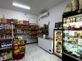 Магазины и бутики · 160 м² за 85 млн 〒 в Талгаре — фото 19