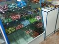 Магазины и бутики • 60 м² за 33 млн 〒 в Алматы, Турксибский р-н — фото 3