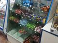 Магазины и бутики • 60 м² за 33 млн 〒 в Алматы, Турксибский р-н — фото 5