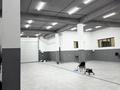Еркін · 250 м², бағасы: 800 000 ₸ в Шымкенте, Туран р-н — фото 3