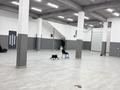 Еркін · 250 м², бағасы: 800 000 ₸ в Шымкенте, Туран р-н — фото 4