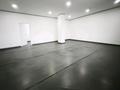 Офисы · 42 м² за 294 000 ₸ в Алматы, Жетысуский р-н — фото 12