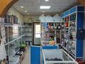 Магазины и бутики • 60 м² за 45 млн 〒 в Балхаше — фото 4
