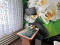 2-бөлмелі пәтер · 47.5 м² · 1/5 қабат, Ердена 181, бағасы: 150 000 ₸ в Сатпаев — фото 2