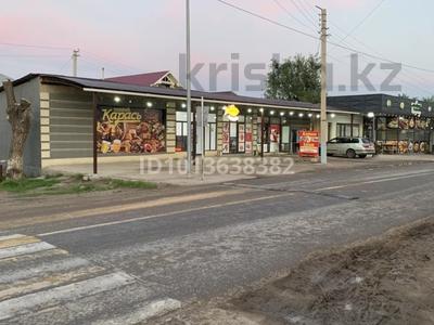 Дүкендер мен бутиктер, жқб, автосервистер мен көлік жуу, қоғамдық тамақтану орны, сұлулық салондары, медорталықтар мен дәріханалар, білім орталықтары · 250 м², бағасы: 30 млн ₸ в Арыси