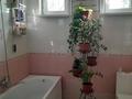 Жеке үй · 5 бөлме · 180 м² · 8 жүзд., ЖМ Сайрам, 194 квартал 3075 — Жалантос - Кара бура, бағасы: 59 млн ₸ в Шымкенте, Каратауский р-н — фото 23
