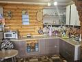 Отдельный дом · 10 комнат · 460 м² · 10 сот., М н Жайлау 37 а — Сырымбет за 110 млн 〒 в Кокшетау — фото 23